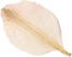 ornamen-01